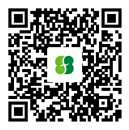 手机官网
